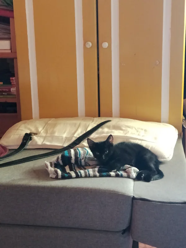 Tag 9: Kuscheln, schlafen und ein neuer Arbeitsplatz
